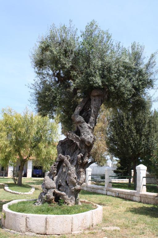 Masseria Maccarone Fasano Exterior foto