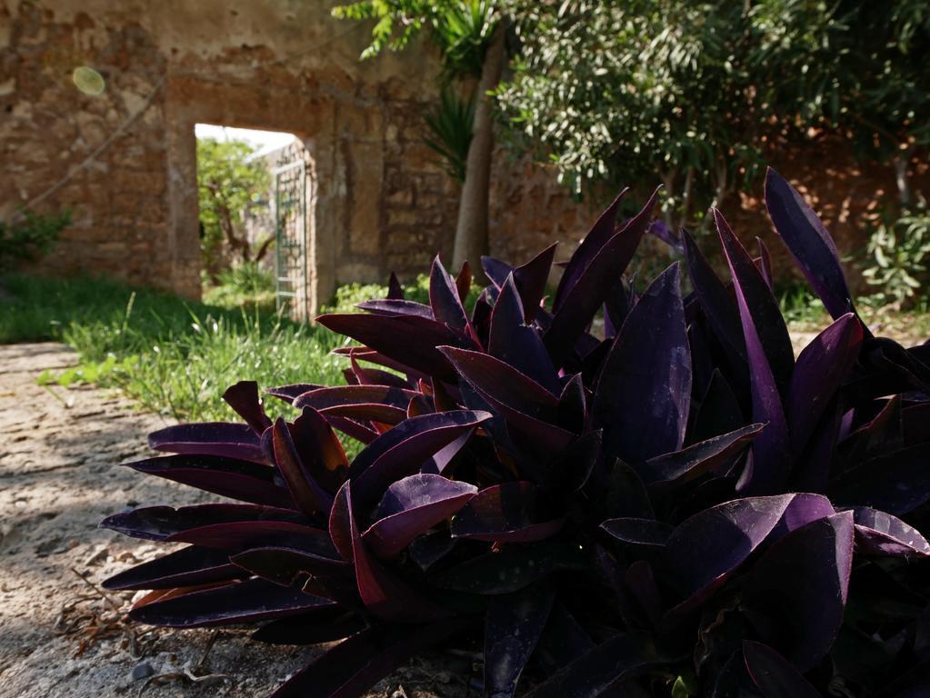 Masseria Maccarone Fasano Exterior foto